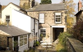 Courtyard Garden